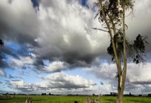 乒乓球亚洲杯：孙颖莎 王楚钦领衔国乒连战连捷.