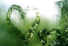 吴艳妮:我不是靠流量吃饭的,是靠硬实力吃饭的 终极目标奥运前8.:问鼎app